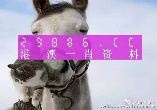 揭秘王中王必中一肖四不像圖，背后的秘密與解讀，揭秘王中王必中一肖四不像圖真相與解讀