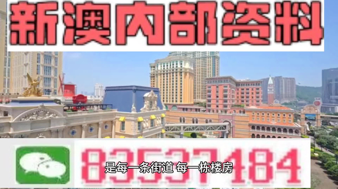 新澳門最精準(zhǔn)正最精準(zhǔn)龍門——探索澳門的魅力與獨(dú)特之處，澳門魅力揭秘，最精準(zhǔn)龍門探索之旅