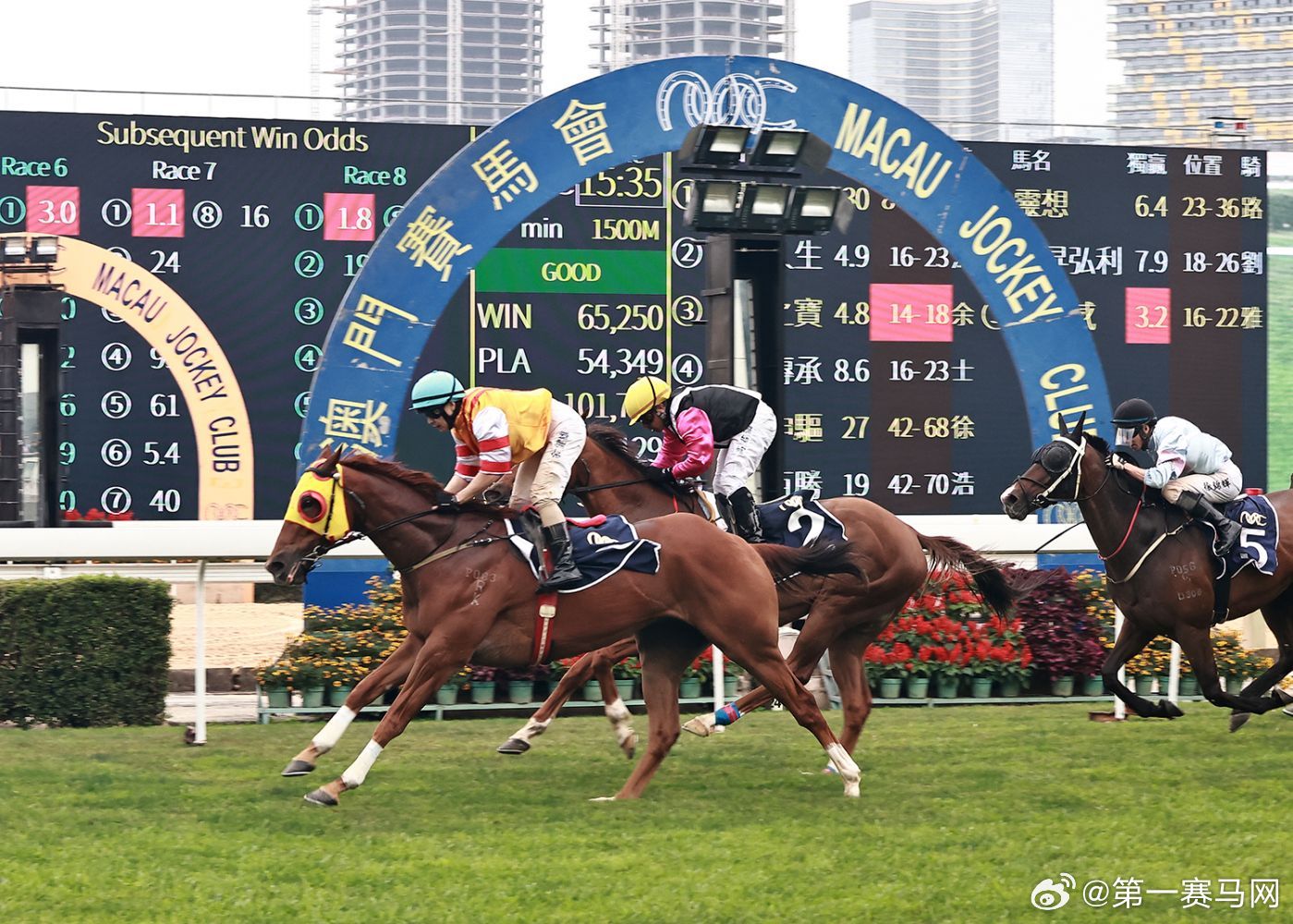 澳門馬今天開什么特馬——深度解析澳門賽馬文化，深度解析澳門賽馬文化，今日特馬揭曉！