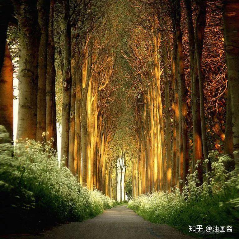 神秘生肖