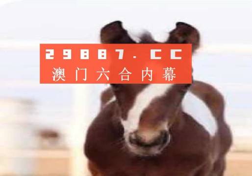 揭秘澳門一肖一碼，探尋背后的秘密與真相，澳門一肖一碼揭秘，探尋背后的真相與秘密