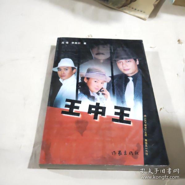 王中王資料一肖中特小說，深度解析與探討，王中王資料一肖中特小說的深度解析與探討