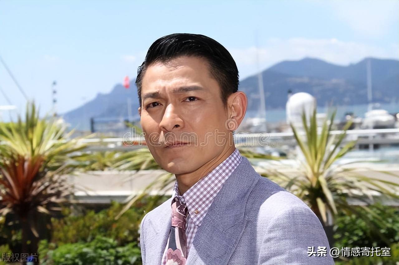 香港王中王資料大全免費，深度解析與探索，香港王中王資料大全免費深度解析與探索指南