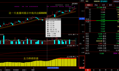 關(guān)于股票代碼002543的全面解析，股票代碼002543深度解析，全方位透視企業(yè)概況與前景展望
