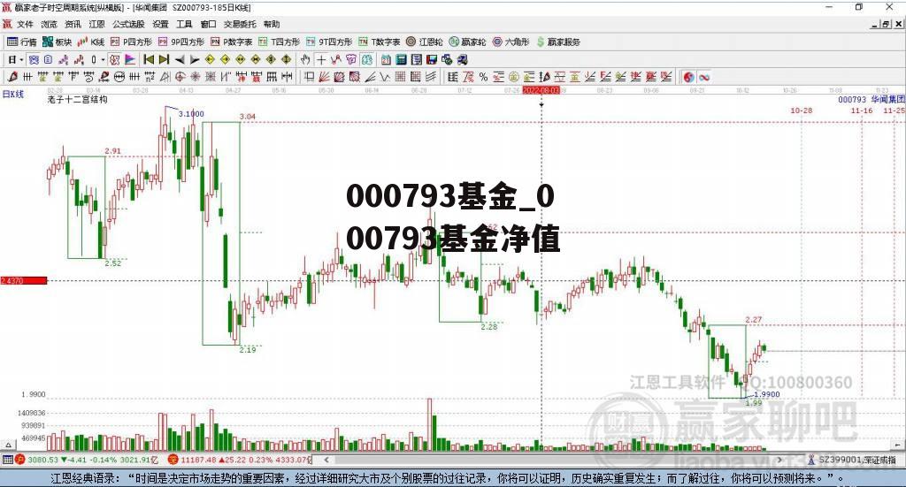 關(guān)于000793基金凈值查詢(xún)的全面解析，全面解析，000793基金凈值查詢(xún)指南