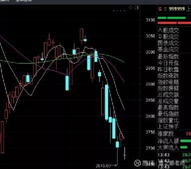 關(guān)于股票300265的全方位解析與前景展望，股票300265全方位解析與未來前景展望