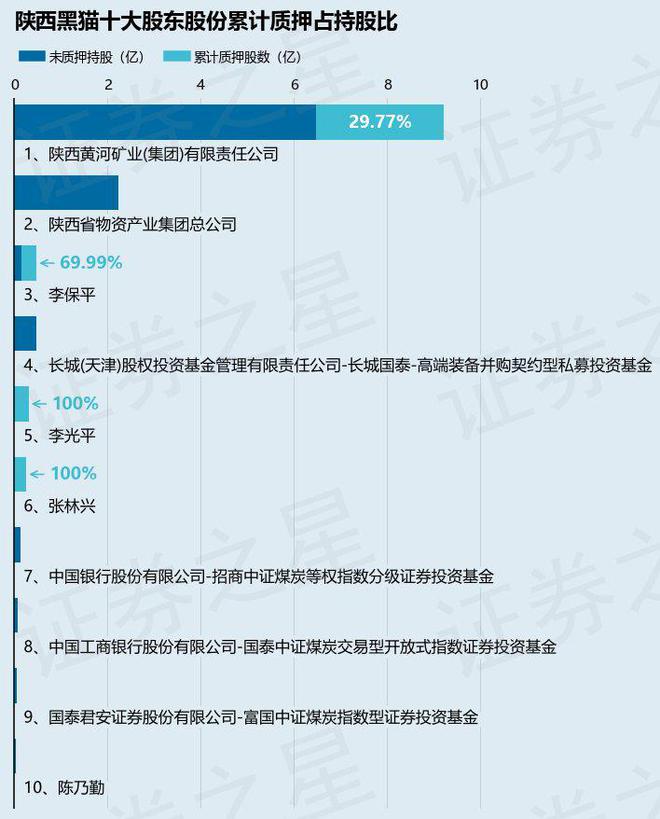 深度解析陜西黑貓股份，股吧熱議的601015股票，陜西黑貓股份（601015）深度解析，股吧熱議的焦點(diǎn)股票