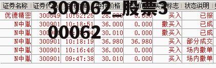 揭秘，30088 股票背后的神秘面紗——什么是 300880 股票？，揭秘，30088股票背后的真相——深度解析300880股票全貌