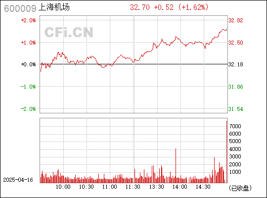 上海機場股票（代碼，600009）深度解析與展望，上海機場股票（代碼600009）全面解析及未來展望