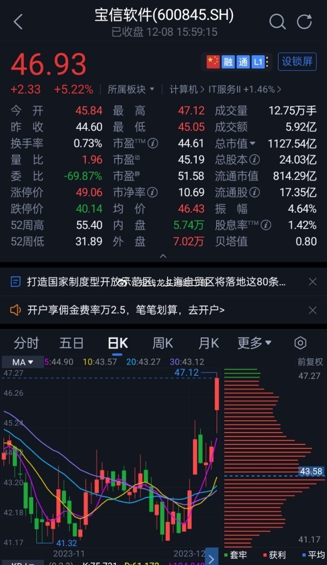寶信軟件股票，投資潛力與市場前景分析，寶信軟件股票投資潛力與市場前景深度解析