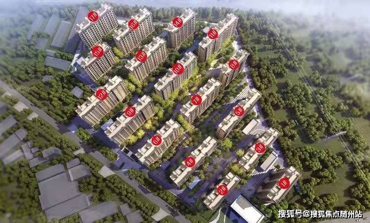 掌握最新動態(tài)，關于002447的最新消息全面解析，關于代碼002447的最新動態(tài)全面解析與消息掌握
