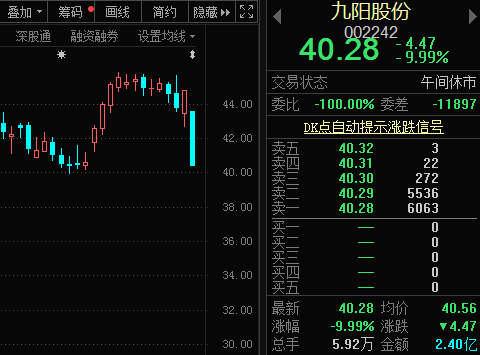 九陽(yáng)股份，引領(lǐng)家電行業(yè)的佼佼者，九陽(yáng)股份，家電行業(yè)的領(lǐng)軍佼佼者