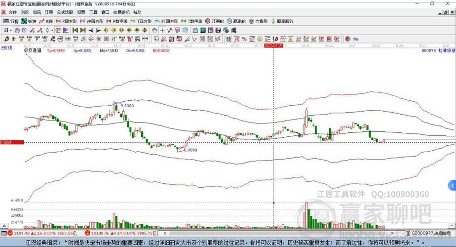 關(guān)于股票000978的全面解析與前景展望，股票000978深度解析與未來前景展望