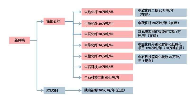 新鳳鳴，探尋卓越，引領未來，新鳳鳴，引領卓越，探尋未來之路