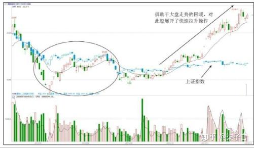 深度解析與全面解讀