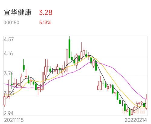 宜華健康（股票代碼，000150）股票投資前景深度解析，宜華健康（股票代碼000150）投資前景深度剖析