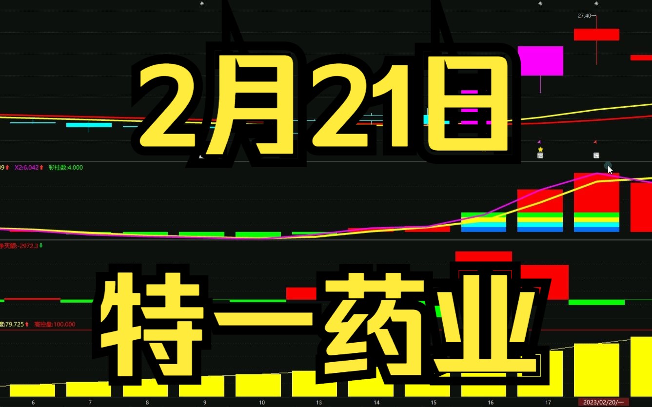 特一藥業(yè)股吧，探索醫(yī)藥行業(yè)的新高地，特一藥業(yè)股吧，醫(yī)藥行業(yè)新高地的探索之旅