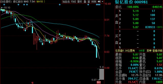 股票000981，深度解析與前景展望，股票000981深度解析與未來前景展望