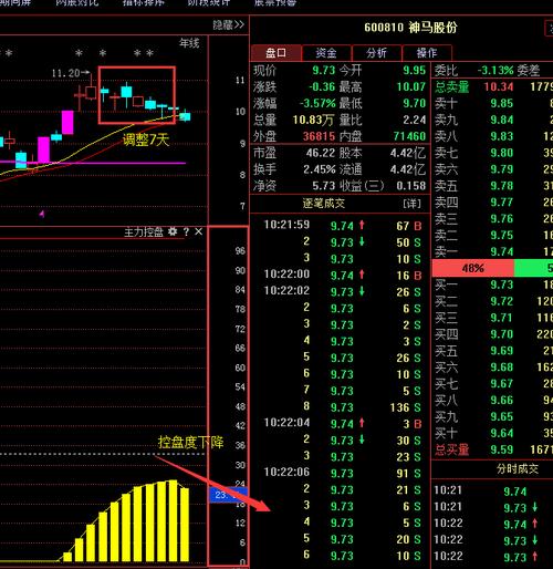 關(guān)于股票600567的全方位解析與前景展望，股票600567全方位解析與未來前景展望