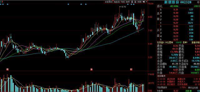 關于股票603335的全方位解析與前景展望，股票603335全方位解析與未來前景展望