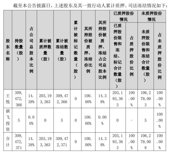 控股子公司持股比例的界定與解析，控股子公司持股比例的界定與詳解