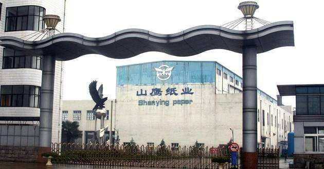 山鷹紙業(yè)股吧，探討公司前景、業(yè)績(jī)與市場(chǎng)表現(xiàn)，山鷹紙業(yè)股吧，深度探討公司前景、業(yè)績(jī)與市場(chǎng)表現(xiàn)