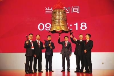 關(guān)于股票300534的深度解析，股票300534深度解析與前景展望