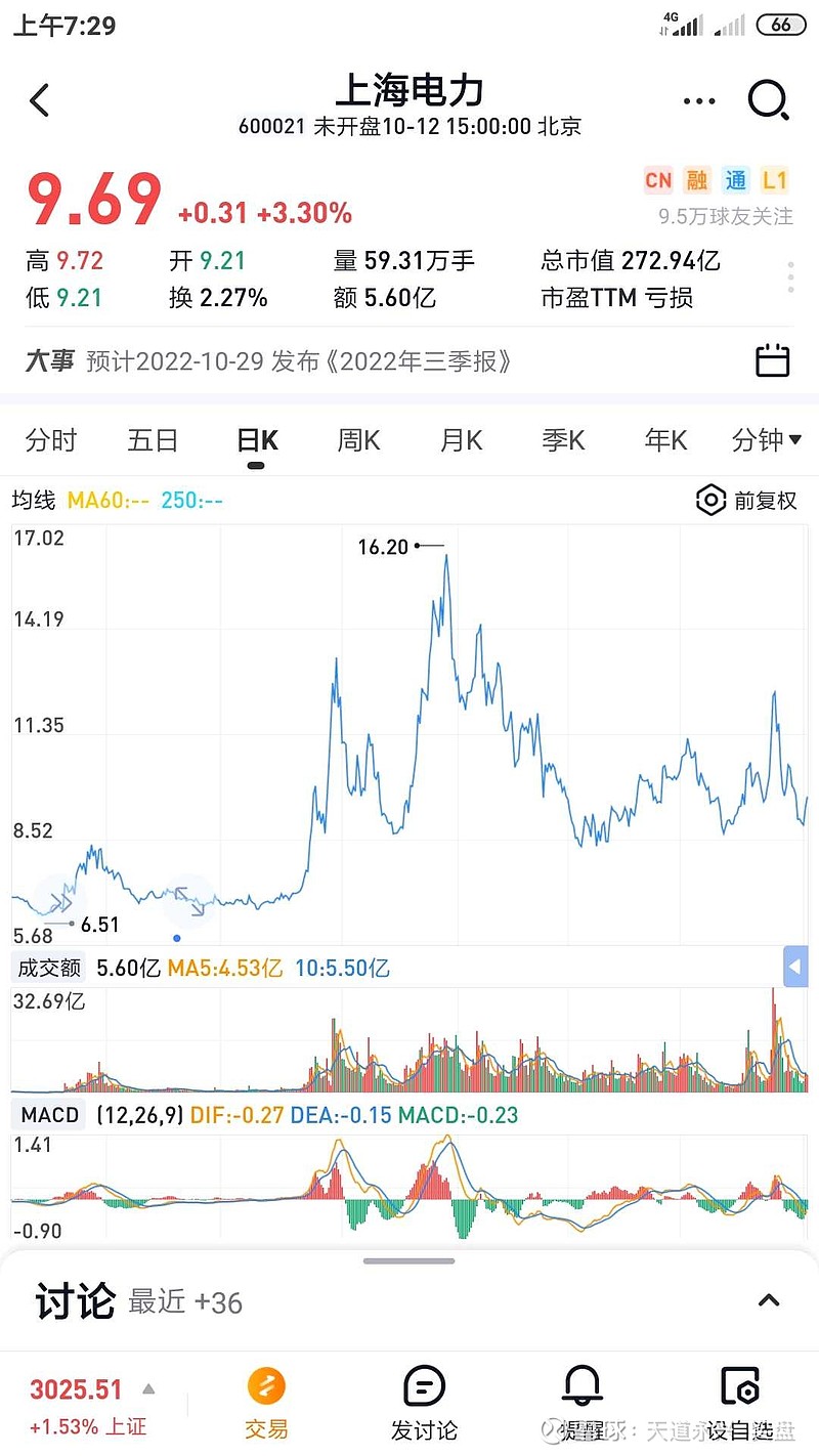 上海電力股票，深度解析與前景展望（代碼，600021），上海電力股票深度解析及前景展望（股票代碼，600021）