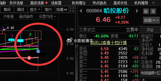 關(guān)于600651的最新消息全面解析，全面解析，關(guān)于股票代碼600651的最新消息動態(tài)