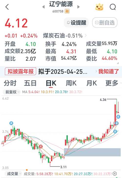 遼寧能源股票，投資潛力與市場前景分析，遼寧能源股票，投資潛力與市場前景深度剖析