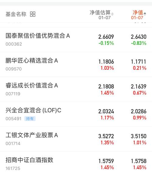 關于161616基金凈值的全面解析，全面解析，161616基金凈值概況