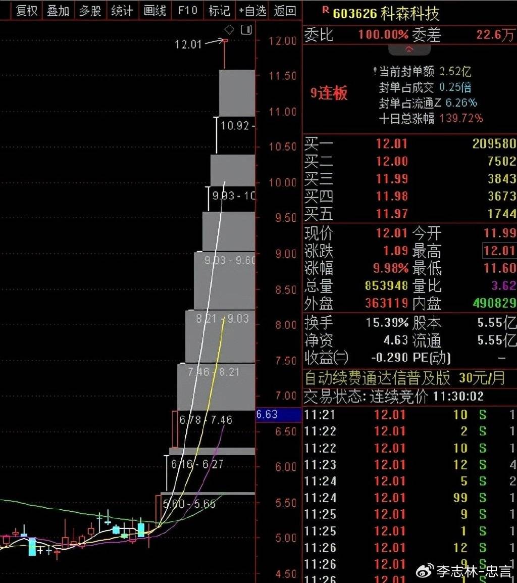 孤狼的吼聲