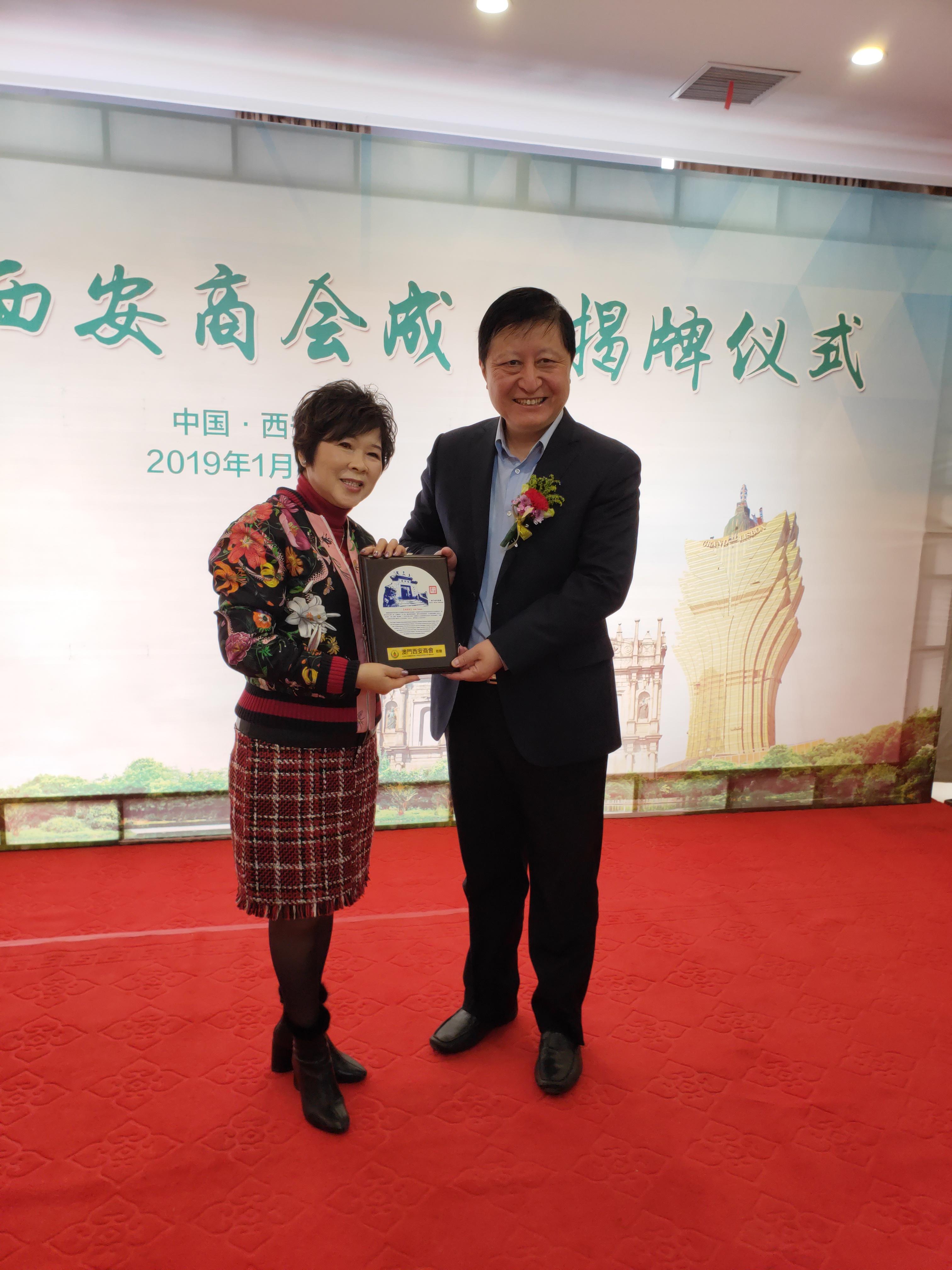 澳門今晚必開一肖，深度解析與預(yù)測，澳門今晚必開一肖，深度預(yù)測與解析報(bào)告