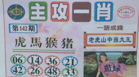 王中王號(hào)碼一肖，揭秘與探索，王中王號(hào)碼一肖，揭秘與探索之旅