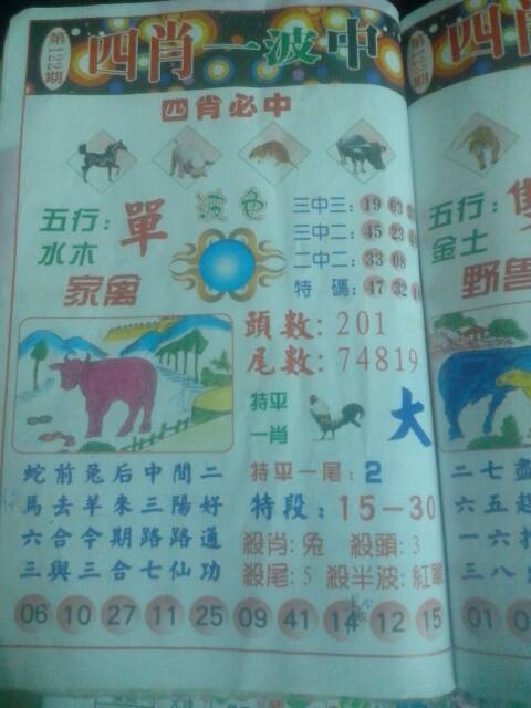 王中王20期指一生肖