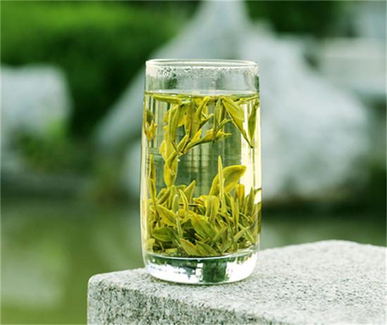 中國(guó)十大名茶，探尋千年傳統(tǒng)與獨(dú)特風(fēng)味的美妙世界，中國(guó)十大名茶，探尋千年傳統(tǒng)與獨(dú)特風(fēng)味的茶韻世界