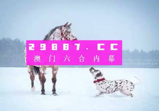 澳門一肖一碼狀元紅，揭秘彩票背后的秘密與策略，澳門彩票揭秘，狀元紅背后的秘密與策略解析