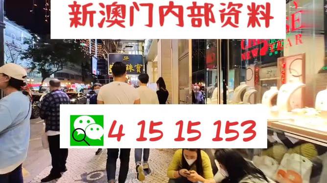 新澳內(nèi)部免費(fèi)爆料，深度探索未知的秘密，新澳內(nèi)部揭秘，深度探索未知的秘密
