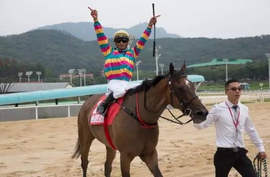 探索香港馬官網(wǎng)，賽馬運(yùn)動的魅力與最新資訊，探索香港馬官網(wǎng)，賽馬運(yùn)動的魅力與最新動態(tài)速遞
