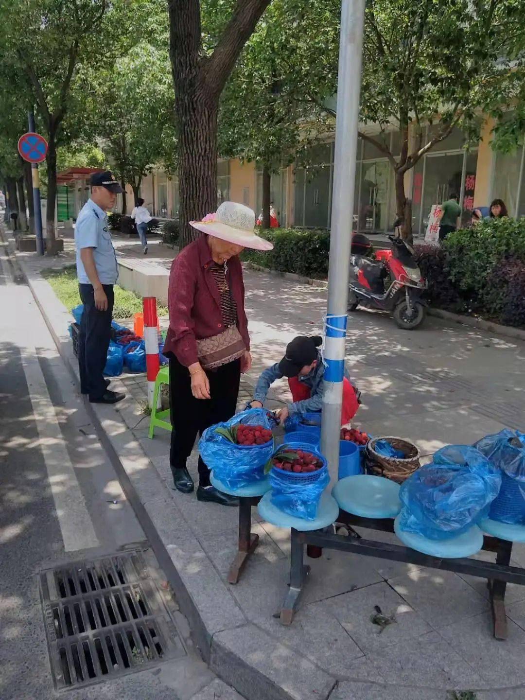 揭秘狀元背后的秘密，如何成為4887狀元之路，揭秘狀元之路，如何成為頂尖學(xué)霸的狀元秘密