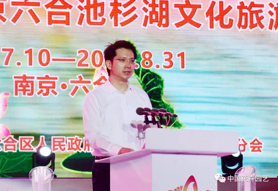 澳門六和開獎結(jié)果2023年今晚開獎，全面解析與預(yù)測，澳門六和2023年今晚開獎結(jié)果解析與預(yù)測
