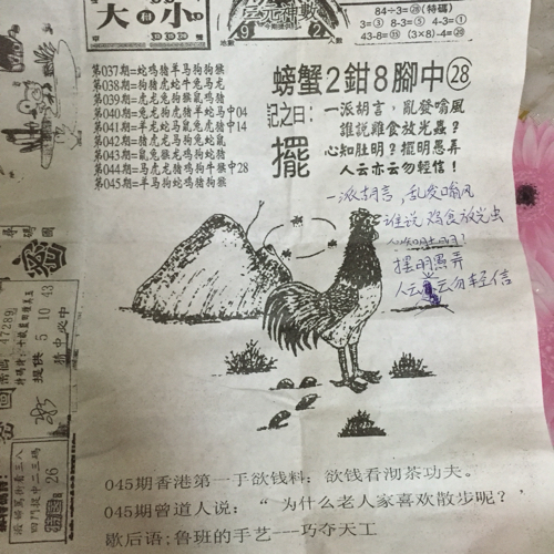 欲錢要買王中王打一生肖