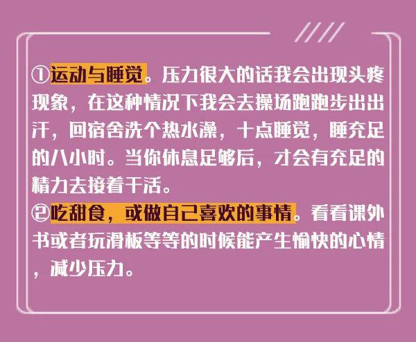 新澳內(nèi)部猛料揭秘，深度探索與獨(dú)特洞察，新澳內(nèi)部揭秘，深度探索與獨(dú)特洞察之旅