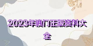 澳門正版免費(fèi)全年資料大全旅游團(tuán)，探索澳門之旅的完美選擇，澳門正版全年旅游資料大全，探索澳門之旅的首選旅游團(tuán)