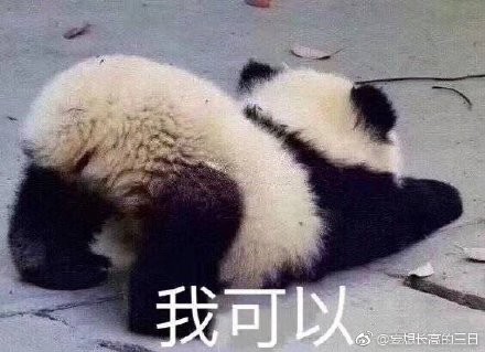 四不像一肖圖王中王，揭秘背后的奧秘，揭秘四不像一肖圖王中王的奧秘