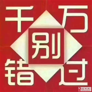 王中王132期指一生肖——深度解析與SEO優(yōu)化，王中王132期生肖深度解析與SEO優(yōu)化策略探討