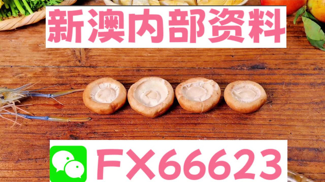 新澳正版資料免費(fèi)提供，全面解析與深度探索，新澳正版資料全面解析與深度探索，免費(fèi)提供的指南