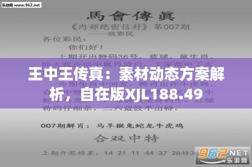 王中王493333特馬王中王——探尋神秘數(shù)字背后的故事，探尋神秘數(shù)字背后的故事，王中王493333特馬王探秘之路
