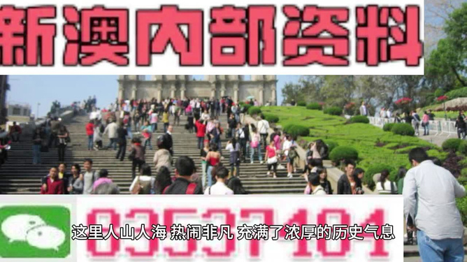 澳門最精準(zhǔn)免費資料大全旅游團(tuán)，探索澳門之旅的完美選擇，澳門最精準(zhǔn)免費資料大全旅游團(tuán)，探索澳門之旅的不二之選