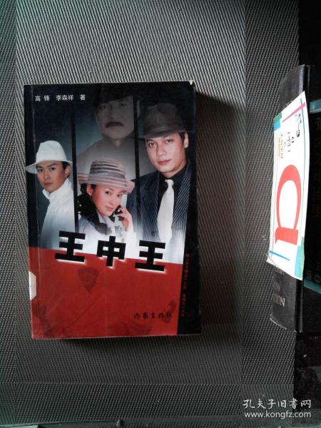 王中王中資料一肖中持，深度解析與SEO優(yōu)化策略，王中王資料解析與SEO優(yōu)化策略深度探討